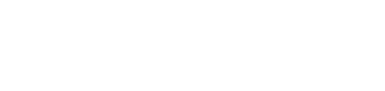 Daytona Motors – L’expérience automobile complète.